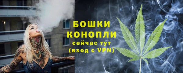 ешки Верхний Тагил