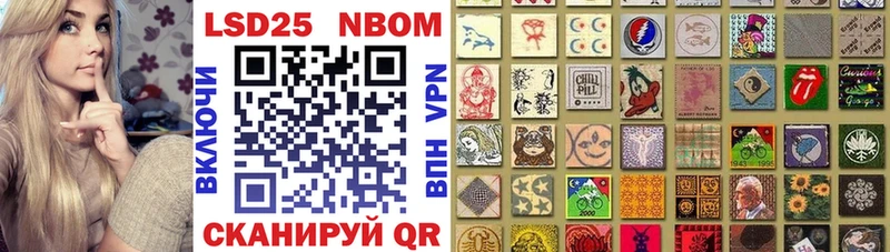 shop телеграм  как найти наркотики  Елизово  Марки 25I-NBOMe 1,8мг 