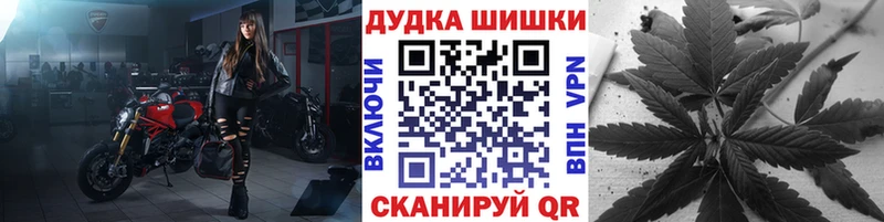 купить наркотики сайты  kraken зеркало  Конопля OG Kush  Елизово 